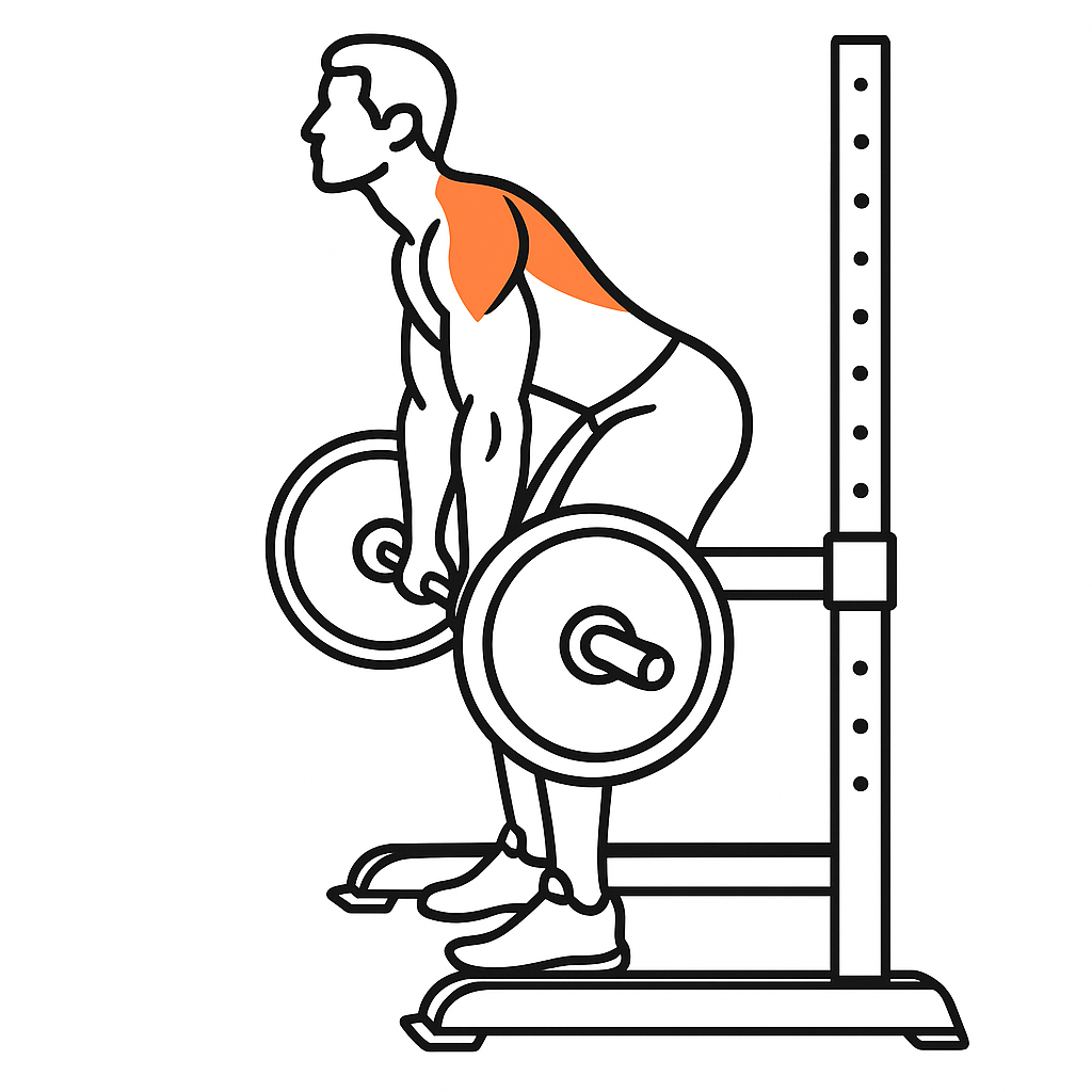 Rack pulls illustrasjon